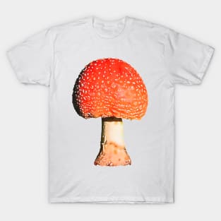 Orange Mushroom Amanita T-Shirt